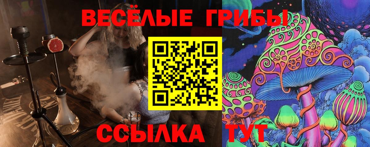 Галлюциногенные грибы прущие грибы Балашов