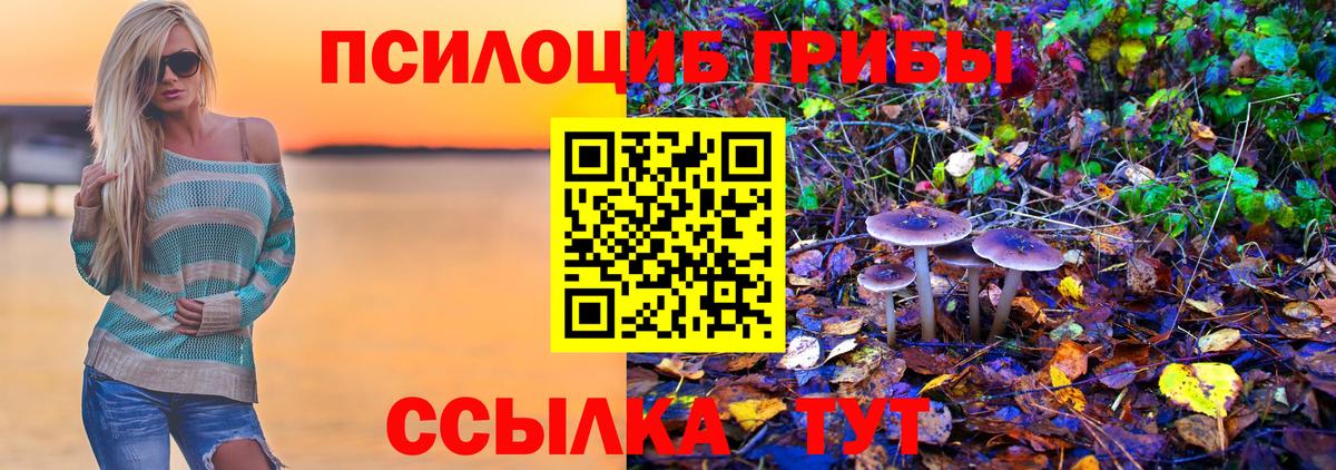 Псилоцибиновые грибы Magic Shrooms  Вход с VPN  Балашов 